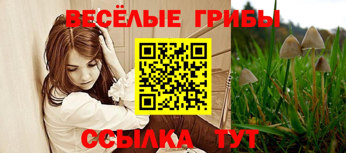 Галлюциногенные грибы мухоморы  Псилоцибиновые грибы прущие грибы  Вход с VPN  Рассказово 