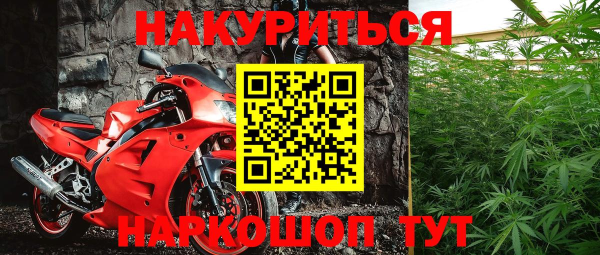 Конопля гибрид Рассказово